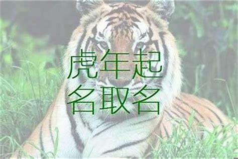 12劃的字屬虎|生肖属虎的起名用什么字好